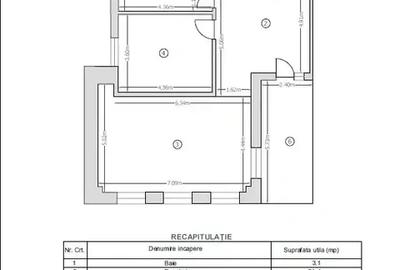Apartament 3 Camere de Inchiriat | Pretabil Birouri | Armeneasca - 14
