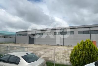 Hub Logistic Premium Otopeni – Centură: Hală 1.500 mp + Birouri 700 mp - 4