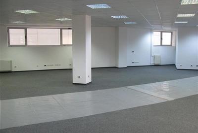 Spatii birouri in Iridex Business Center - de la 29 mp - 9