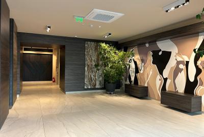 Aviatiei 2 camere lux - loft - 11