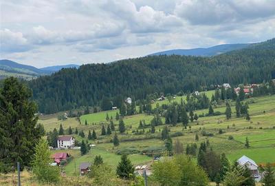 RECO Teren intravilan in Arieseni 1700mp cu Utilitati - 2