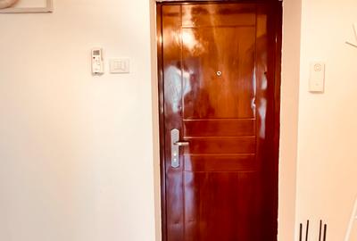 Apartament Piata Muncii, stradal, 5 minute de metrou, mobilat si utilat modern - 25