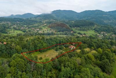 Casă individuală cu 3 camere în Ormindea