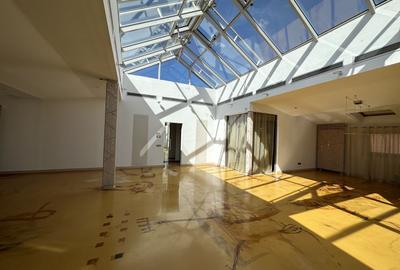 Casă individuală cu 26 camere în Grădina Icoanei