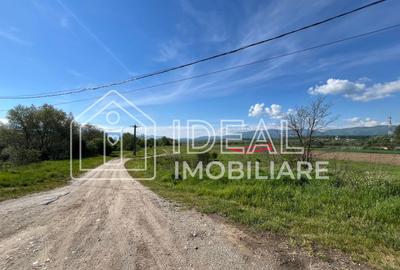 Teren extravilan de vânzare  1.100mp– Mohu, Șelimbăr - 4