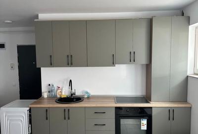 Apartament cu 2 camere, mobilat în Florești