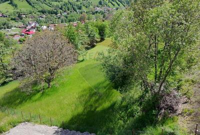 Teren intravilan |Moieciu de Jos| str. Principala| - 6