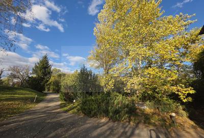 Reședință exclusivistă cu deschidere la Lacul Scroviștea - 23