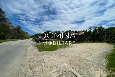 Vanzare teren *oportunitate investitie* situat in Carbunesti-Sat, la DN 67B - 9