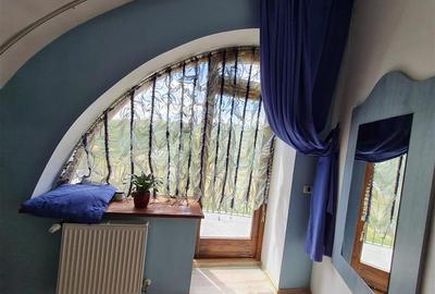 Domeniu de 30.000 mp + lac propriu +Vila protocol + Special - 15