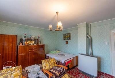 Casa in inima statiunii Covasna, cu gradina, vie si pomi fructiferi - 20