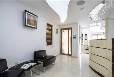 Vila Premium de Inchiriat | Curte | 120 mp | Curte 250 mp | Zona Tei - 1
