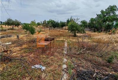 Casa P+M cu teren 2098 mp in Potoceni Buzau - 16