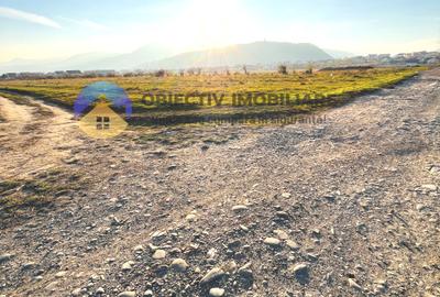 TEREN intravilan 10.000 mp  PIATRA-NEAMȚ - 5