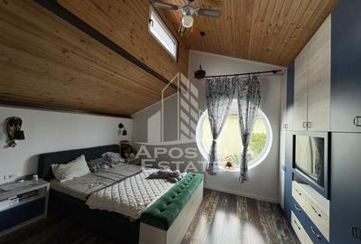 Casa cu sediu firma, atelier si apartament separat Mosnita Noua - 13