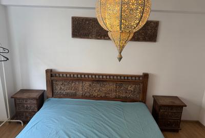 Cismigiu apt 2 camere renovat, mobilat, balcon, centrala proprie, lista U3 - 9