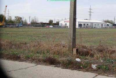 Teren 5.000 mp pentru diverse activitati cu acces din sosea strada Ovidiu in fat - 8