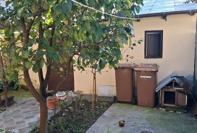 TEREN 331MP | DESCHIDERE 12M - 5