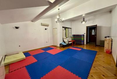 Vilă individuală 17 camere, 850 mp teren | Grădiniță / clinică | Iancu Nicolae - 11