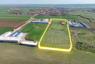 Teren agricol intravilan de 29560 mp, în Tariverde