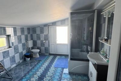85.000 Euro- casa +magazin+garaj in com Smardan, sat Cismele, - 7