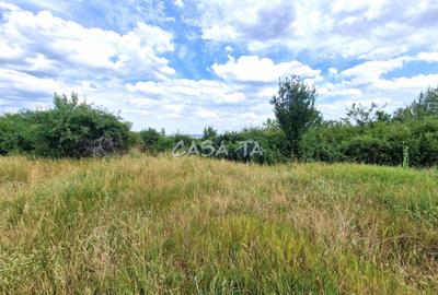 Teren Extravilan (11.464 mp),situat in Targu-Jiu, Str Ciresului - 2