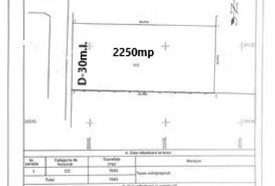 Teren intravilan 2.250 mp- zona Ferme - 6