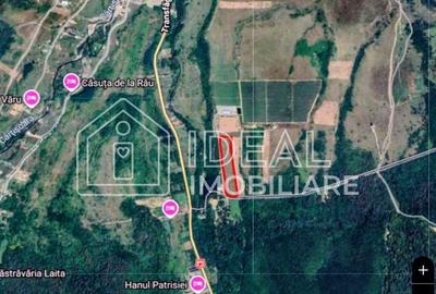 Teren extravilan 6.500 mp – Cârțișoara | Comision 0% - 8