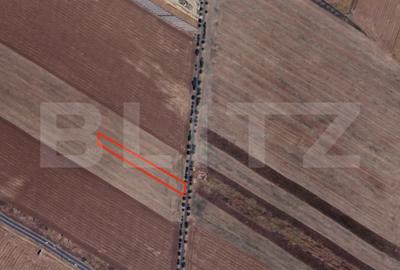 Teren agricol de 5000 mp, în Băicoi