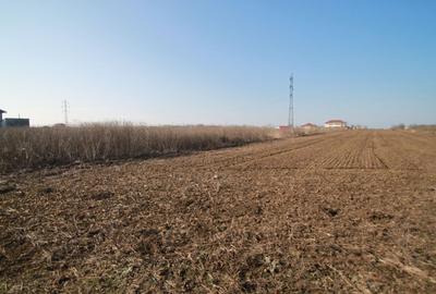 Teren intravilan- zona Veterani - 1