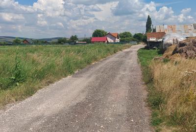 Teren Intravilan de vanzare - 5