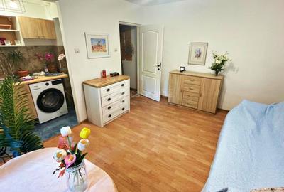 Podul de Piatra, garsoniera renovata cu suflet, mobilata & utilata - 2