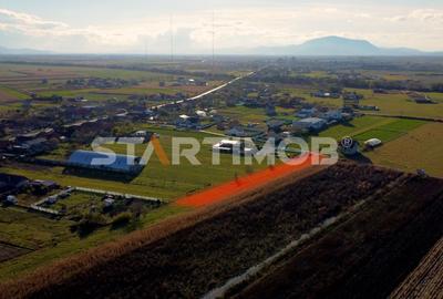 Teren Construcții intravilan de 3000 mp, în Bod