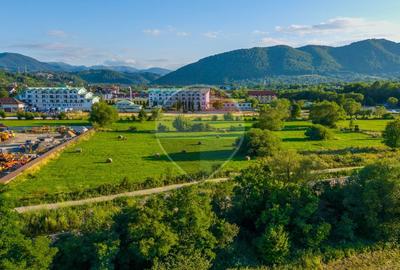 Teren intravilan 7.660 mp lângă Bran, panoramă 360°, comision 0% - 3