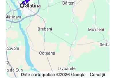 Casă bătrânească îngrijită, 2 camere, Negreni (Olt) – Ideală casă de vacanță - 5