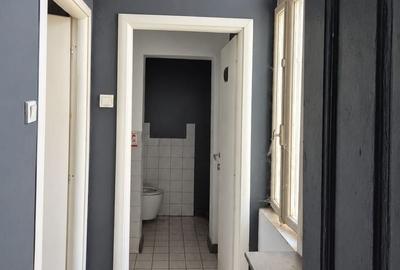 Investment property with character downtown Cismigiu park - 9