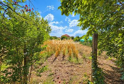 Casă de Vanzare, Str.Bradului,Nr.68,Satu Mare - 5