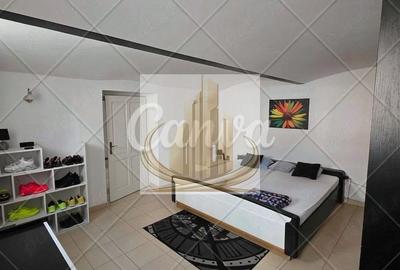 Apartament cu 2 camere nedecomandat, mobilat în Elisabetin