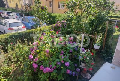 Apartament spatios 2 camere decomandate pivnita zona Dioda Sibiu - 16