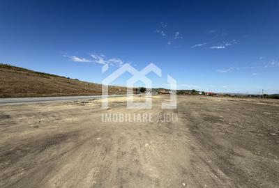 Teren Industrial 6300mp | Intrare din DN1 | Rascruci - 2