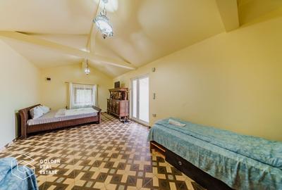 Afacere la cheie: Pensiune functionala sau casa de locuit, Ghioroc - 21