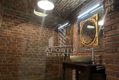 Apartament cu 3 camere demisol+ parter, Ultracentral - 11