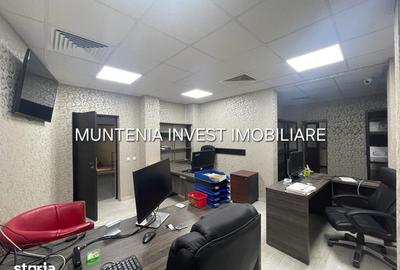 Hala 80 mp. + 100 mp. birouri, Prundu - 12