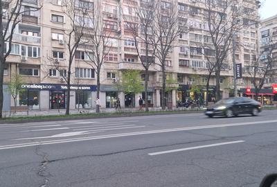 Decebal- Dristorului- Alba Iulia, 230  mp   pret 5.000 euro, - 6
