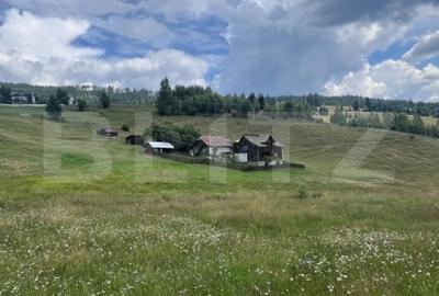 Teren Construcții intravilan de 36000 mp, în Exterior Vest