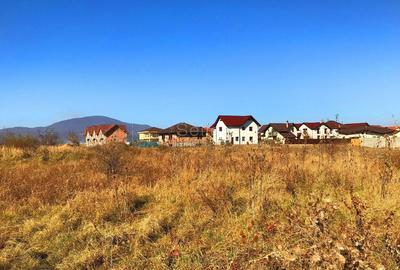 Teren Construcții intravilan de 6000 mp, în Ghimbav Livadă