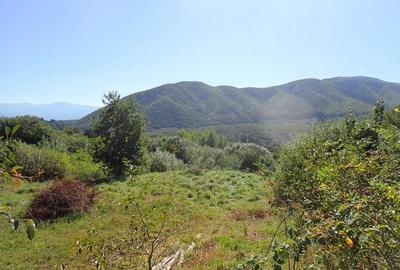 Teren Construcții intravilan de 1409 mp, în Cisnădioara