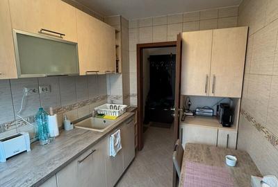 Dristor-3 minute metrou,renovat complet - 9