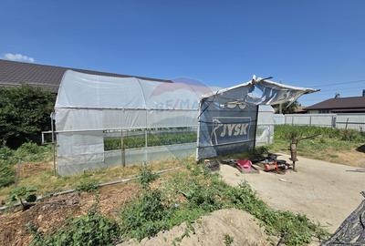 Proprietate 2.229 mp cu Dotări pentru Afacere Florală - 14
