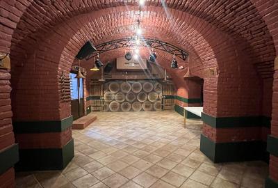 Proprietate istorică de vanzare în centrul Bucureștiului - 971 mp teren - 4